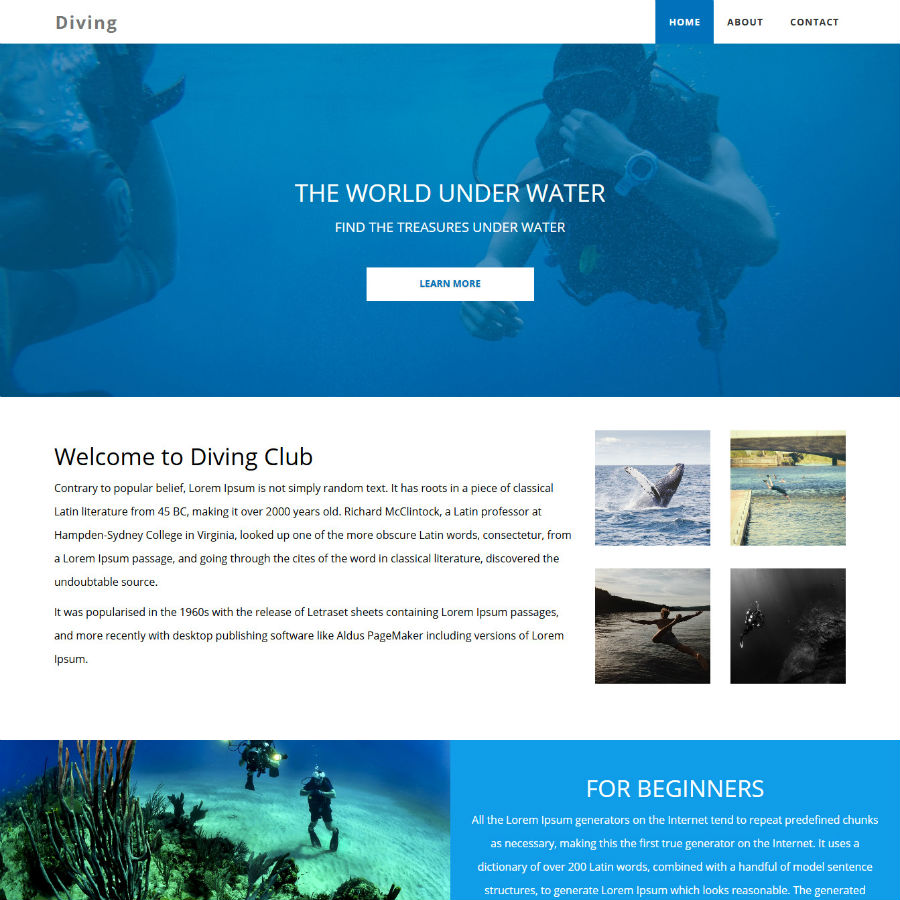 SitePad Diving Theme